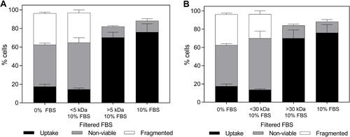 Figure 4 Changes in bio-effects due to the presence of filtered fetal bovine serum (FBS) with different molecular weight cutoffs during photoporation of DU145 cells. Distribution of uptake cells, non-viable cells, and fragmented cells with 10% v/v FBS without alteration, with fractions above or below a (A) 5 kDa or (B) 30 kDa molecular weight cut off. Laser exposure was carried out at a fluence of 55 mJ/cm2 for 1 min. All samples contained 26.3 mg/L carbon black nanoparticles and 10 μM calcein. Data are expressed as mean ± SEM based on 3 replicates each.