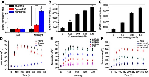 Figure 2 (A) Fluorescence intensity ratio of cypate and RCPD with PBS (0.16 mM cypate-equiv.) before (dark) and after (light) NIR irradiation (1.6 W/cm2, 5 mins). **p<0.01, ***p<0.001. (B) Singlet oxygen generation by RCPD (0.02–0.16 mM cypate-equiv.) after NIR irradiation (1.6 W/cm2, 5 mins). (C) Singlet oxygen generation by RCPD (0.16 mM cypate-equiv.) after NIR irradiation with different power density (0.3, 0.96, 1.6 W/cm2, 5 mins). (D) Temperature change curves of PBS, cypate, and RCPD aqueous solution (0.16 mM cypate-equiv.) exposed to laser at a power density of 1.6 W/cm2. (E) Temperature change curves of RCPD aqueous solution (0.02–0.16 mM cypate-equiv.) exposed to laser at a power density of 1.6 W/cm2. (F) Temperature change curves of RCPD aqueous solution (0.16 mM cypate-equiv.) exposed to laser at the following power densities: 0.3, 0.96 and 1.6 W/cm2.