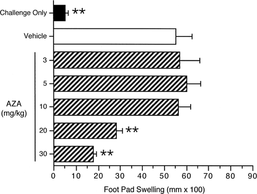 Figure 1.  Effects of AZA exposure on the DTH response to C. albicans. Mice were administered either vehicle (0.5% methylcellulose) or AZA PO daily for 28 days. Mice were sensitized on Day 21 with C. albicans. The right footpad of each mouse was pre-measured and challenged with chitosan antigen on Day 29, with post-measurement occurring 24 [± 2] h after challenge. The background footpad swelling was determined in a group of mice that were challenged but not sensitized (challenge only). The data are expressed as footpad swelling (mm × 100). Values represent the mean (± SE) of two combined studies, each containing 7–8 animals per group. Vehicle control means between studies were not statistically significantly different (57.1 [± 10.0] vs 53.4 [± 11.7] mm × 100). ** p < 0.01.