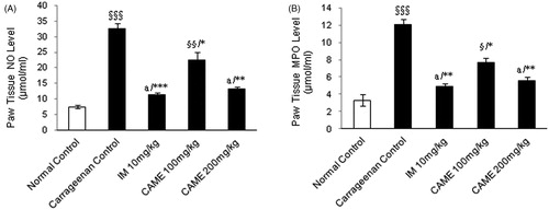 Figure 6. Effect of CAME (100 and 200 mg/kg) on nitric oxide and myeloperoxidase levels of inflamed rats paw tissue. (A) Nitric oxide (NO) level in the paw tissue homogenate. (B) Myeloperoxidase (MPO) level in the paw tissue homogenate. Each value is mean ± SEM (n = 6). §p < 0.05, §§p < 0.01, and §§§p < 0.001, a = non-significant when compared with normal control. *p < 0.05, **p < 0.01, and ***p < 0.001 when compared with untreated carrageenan control.