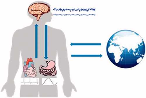 Figure 4. Brain–viscera interactions.