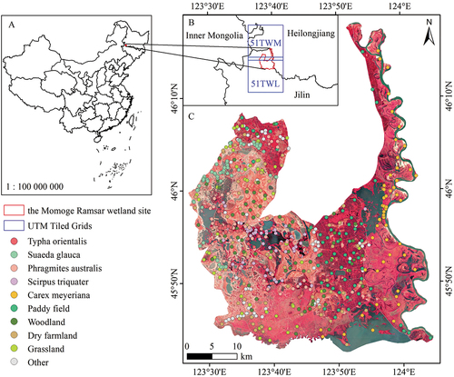 Figure 1. General situation of the study area. (A) geographic location of the MRWS in China; (B) the Sentinel-2 coverage for the MRWS; (C) sample distribution pattern with a background of a Sentinel-2 MSI standard false-color image (R: 8, G: 4, B: 3).
