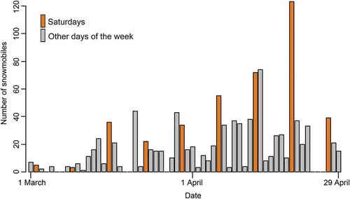 Figure 2. Number of snowmobiles observed every 5 minutes at one camera-trap positioned right outside the main settlement, Longyearbyen, Svalbard, in the experimental area from 1 March to 29 April 2013.