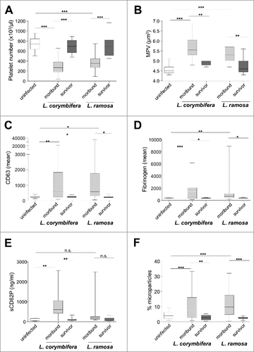 Figure 4. Platelet activation during Lichtheimia infection in corticosteroid-treated mice. (n = 6 mice/group/experiment). (A) Number of circulating platelets. (B) Mean platelet volume. (C) Surface expression of CD63 on circulating platelets. (D) Binding of fibrinogen to circulating platelets. (E) Quantification of soluble CD62P (sCD62P) in plasma. (F) Formation of platelet-derived microparticles circulating in the plasma. Statistical significance was calculated using 2-sided unpaired t-test, #p < 0.05 and ##p < 0.01