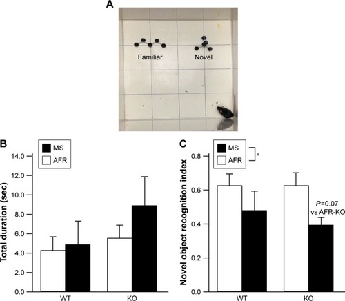 Figure 3 The MS paradigm decreased the desire to investigate a novel object.