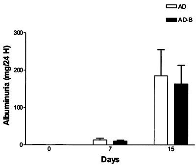 Figure 4. Urinary albumin excretion before and after the treatment with 5 mg/kg adriamycin (AD) or with 5 mg/kg adriamycin plus sodium bicarbonate (AD-B). Data are expressed as mean ± SD.