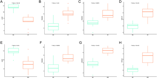 Figure 8 Validation of the differential expression of key genes between groups. (A–D) Box plots showing the expression of CCR7, RNASE2, RNASE3, and CXCL10 in HF vs NC. (E–H) Box plots showing the expression of CCR7, RNASE2, RNASE3, and CXCL10 in SLE vs NC.