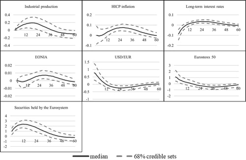 Figure 15. Robustness check IV: controlling for the central bank information shocks.