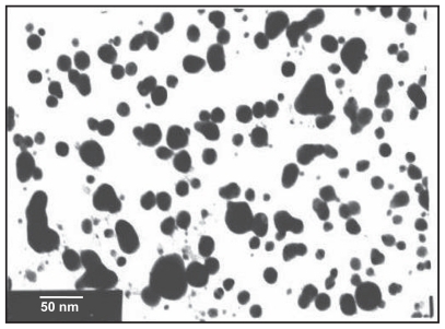 Figure 1 Transmission electron microscopic image obtained from purified fractions collected after sucrose density gradient of silver nanoparticles synthesized using Bacillus licheniformis. Purified nanoparticles from B. licheniformis were examined by electron microscopy.Citation27,Citation28 Several fields were photographed and were used to determine the diameter of nanoparticles. The range of observed diameter was 50 nm.