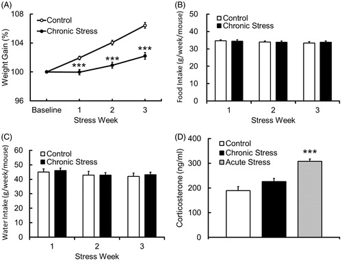 Figure 2. (A) Mouse body weight gain under chronic stress. Body weight gain was calculated on the basis of the weight before the first period of chronic stress (baseline). Data are mean ± SEM (n = 57–64): ***p < 0.001 versus Control. (B) Food and (C) water intake in mice under chronic stress. Food and water intake was measured per cage and transformed into per mouse. Data are mean ± SEM (n = 9–13). (D) Effects of acute and chronic stress on mouse plasma corticosterone concentration. Plasma corticosterone levels were measured under basal conditions and after restraint stress. In the chronic stressed mice, blood was collected 1 day after the final period of stress, while in the acute stressed mice, blood was collected 15 min after the stress period. Data are mean ± SEM (n = 11–12): ***p < 0.001 versus Control.