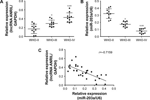 Figure 1 Expression of lncRNA ANRIL and miR-203a in glioma tissues.