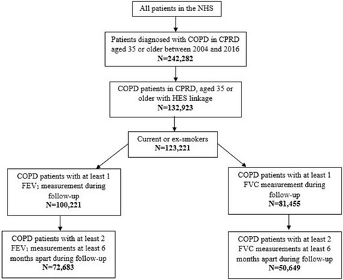 Figure 2 COPD patients included in the FEV1 and FVC cohorts.