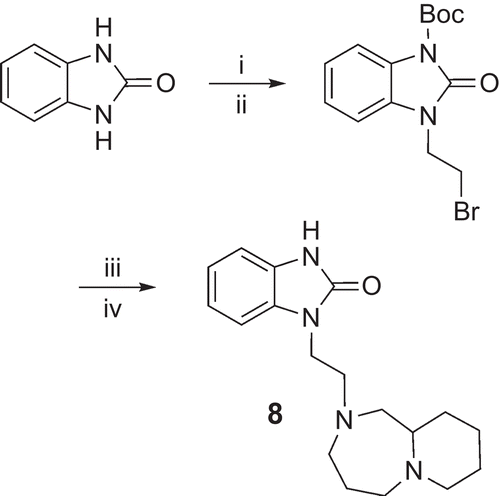 Scheme 3.  Reagents and conditions: (i) NaH, Boc2O, dimethylformamide (DMF), r.t., 12 h, 90%; (ii) 1,2-dibromoethane, K2CO3, Bu4NBr, H2O, 100°C, 12 h, 88%; (iii) decahydropyrido[1,2-a][1,4]diazepine, K2CO3, KI, MeCN, 60°C, 12 h, 49%; (iv) trifluoroacetic acid (TFA), dichloromethane (DCM), r.t., 3 h, 98%.