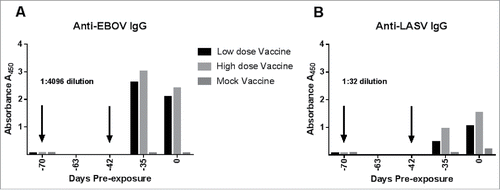 Figure 1. Antigen-specific IgG response to multi-agent vaccination prior to virus exposures. The x axis defines study day relative to Day 0, which is virus exposure. The vaccination days are represented as negative numbers indicating that they occurred prior to study Day 0. EDTA-treated plasma from guinea pigs vaccinated with the low-dose (50 µg) multiagent vaccine, High-dose (100 µg) multiagent vaccine or the mock vaccine were pooled into their respective groups for analysis of IgG response via antibody capture ELISA. The arrows indicated when the vaccinations were administered. Blood was collected just prior to the first vaccination timepoint, which was study day -70, and serves as the zero control for this experiment. A second vaccination was administered to all guinea pigs on study day -42. Blood samples collected just prior to the first vaccination, one week after the second vaccination, and on Day 0 (samples collected just prior to virus exposure) were selected for analysis by ELISA. A) The antibody response to EBOV antigen was strong in the vaccinated guinea pigs, as indicated by the EBOV ELISA. Plasma dilutions of 1:4096 were required to obtain a reading below the dynamic range limit of the plate reader. B) Vaccination with the multi-agent vaccine induced lower levels of Anti-LASV antibodies than those observed on the EBOV plates. A plasma dilution of 1:32 was graphed for the LASV antigen ELISAs.