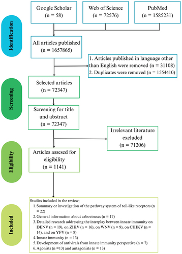 Figure 1. Flowchart of database search, screening, and selection process. This figure depicts the systematic approach used to identify, screen, and select relevant studies for inclusion in the review manuscript.