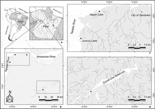 Fig. 1. Study area indicating the location of Pará State in Brazil and in South America (a), the region near the city of Santarém, where the Tapajós River flows into the Amazon River (b), sampling site locations in Jurucuí and Itapari lakes, on the right bank of the Tapajós River (c) and in Curuá-Una reservoir (d). References: •: municipality headquarters; ♦: sampling sites