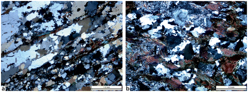 Figure 3. Photomicrographs of (a) the dated micaschist sample from Kalabak formation (KB-5) and (b) Karacabey metagranite (KR-9, CPL).