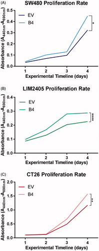 Figure 2. Proliferation rate of SW480, LIM2405 and CT26 cells in vitro. (A) SW480 cell proliferation represented as mean absorbance values over four days (N = 3 in duplicates/cellular construct/time point). (B) LIM2405 cell proliferation represented as mean absorbance values over four days (N = 3 in duplicates/cellular construct/time point). (C) CT26 cell proliferation represented as mean absorbance values over four days (N = 3 in duplicates/cellular construct/time point). *p < .05, **p < .01, ****p < .0001.