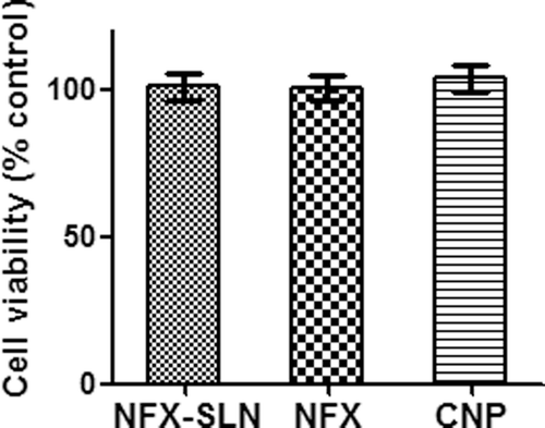 Figure 5.  Cytotoxicity studies on BHK-21 cells (mean ± SD, n = 5) NFX-SLN: norfloxacin-nanoparticles; NFX: native norfloxacin; CNP: control nanoparticles