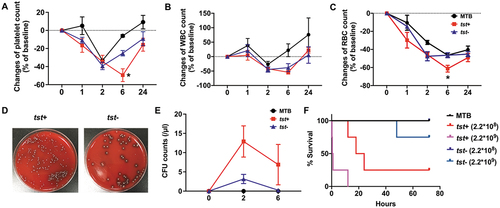 Figure 4. Peripheral blood cell counts, CFU counts, and life span of S. aureus-infected mice were shown. For A-E: The tst gene associated SaPI positive (tst+) or negative strains (tst-) (1×106 CFU/mouse) or vehicle (MTB buffer) were injected into mice through the subarachnoid vein. (A) platelet, (B) blood cell count (RBC) and (C) white blood cell (WBC) count were determined at the indicated time points. Data were expressed as mean ± SEM (n=5). *P<0.05, compared with tst-, Mann-Whitney U test. Representative image of CFU in 10 μl blood (D). CFU counts were determined at the indicated time points (E). Data were expressed as median with range (n=5). For F: Mice were injected with the tst gene associated SaPI positive (tst+) (2.2×108 or 2.2×109 CFU/mouse) or negative isolates (tst-) (2.2×108 or 2.2×109 CFU/mouse) or MTB buffer via the posterior ophthalmic vein, and the survival rate of the mice were observed for 3 days (n=5). The survival rate of mice that were treated with S. aureus infection or vehicle was determined (F).