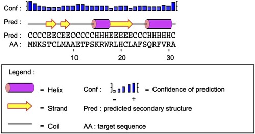 Figure S1 Secondary structure of the N-terminal region of EDNRB isoform 3 was predicted by the PSIPRED server.