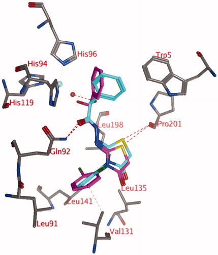 Figure 2. Representation of docking pose 2, showing compound 3d (turquoise; OH in R isomer; purple OH in S isomer) in the active site of hCA IX. Hydrogen bonds and interactions to the Zn2+-ion are depicted in red dashed lines.