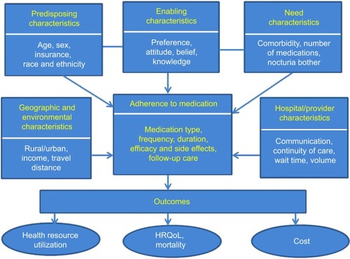 Figure 1 Conceptual model: adherence to nocturia medication.