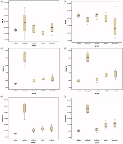 Figure 3. The overall results of histomorphometric and blood ALP analysis. (a and b) 1st and 4th month evaluations of blood ALP results in all groups. (c and d) 1st and 4th month evaluations of the percentage of new bone tissue amount in the defect. (e and f) 1st and 4th month evaluations of the newly formed and regenerated bone tissue area results throughout all groups.