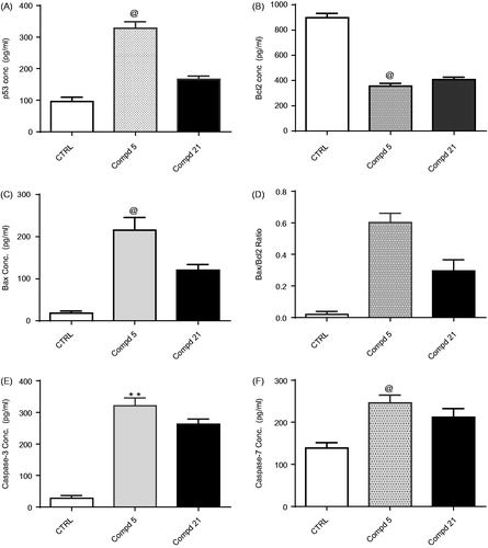 Figure 8. In vitro ELISA immunoassay measurement of the p53,Bcl-2, Bax, caspase-3 and caspase-7 concentration in HepG-2cells after treatment for 24 h with thiophene-3-carboxamides 5 and 21 at their IC50. (A) effect of compounds 5 and 21 on p53 concentration (B) effect of compounds 5 and 21 on Bcl-2 concentration (C) effect of compounds 5 and 21 on Bax concentration (D)effect of compound 5 and 21 on Bax/Bcl-2 ratio (E)effect of compounds 5 and 21 on caspase-3 concentration (F)effect of compounds 5 and 21 on caspase-7 concentration. Data were expressed as mean (n= experiments) ± SEM and statistical comparisons were carried out using one-way analysis of variance (ANOVA) followed by Tukey multiple comparisons test at p < .05.