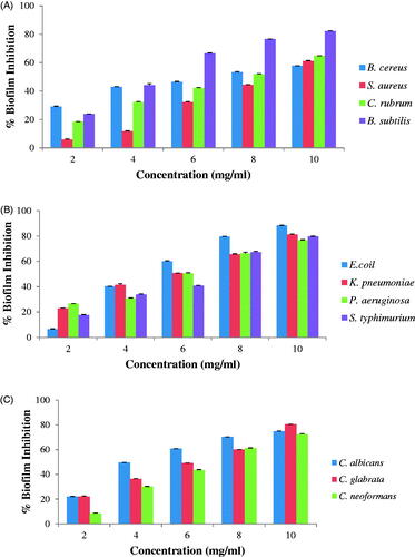 Figure 6. Antibiofilm activity of AgNPs: (A) gram-positive bacteria, (B) gram-negative bacteria and (C) Fungi.