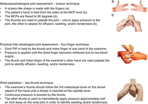 Figure 2 Standardized musculoskeletal examination procedures.