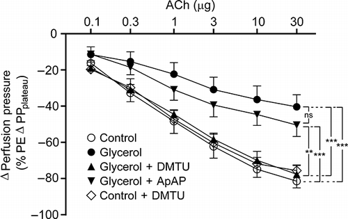 Figure 4. Acetylcholine-induced vasodilation responses of control group, glycerol-injected rats, and dimethylthiourea or acetaminophen-treated rats. Data were presented percentage of 3 μM phenylephrine (PE)-induced stabilized change in perfusion pressure. DMTU, dimethylthiourea; ApAP, acetaminophen; ACh, acetylcholine; ns, not significant. The values are expressed as mean ± SEM. n = 7 for each group.Note: **p < 0.01, ***p < 0.001.