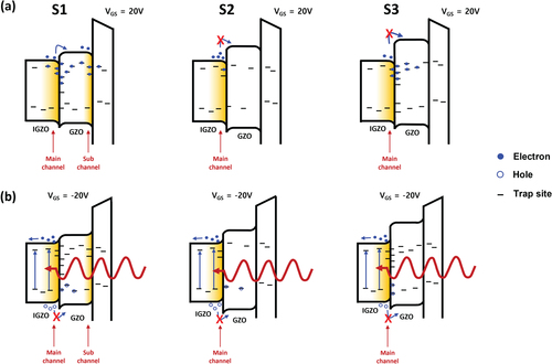 Figure 5. Degradation mechanism of IGZO/GZO TFTs (S1-S3) under (a) PBTS (60°C, 2 MV cm−1) and (b) NBIS (1000 lux, −2 MV cm−1).