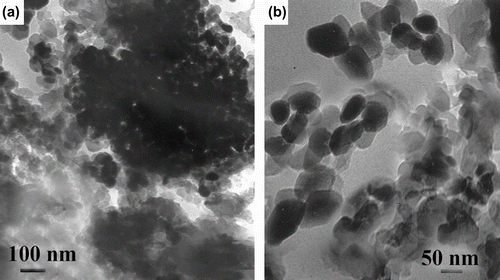 Figure 3 TEM micrographs of (a) 5 wt.% unmodified nano-TiO2 /PUI BC and (b) 5 wt.% modified nano-TiO2/PUI BNC.