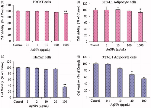 Figure 6. In vitro cell viability of gold nanoparticles on HaCaT skin cell line (a), 3T3-L1 adipocyte cell line (b); silver nanoparticles on HaCaT skin cell line (c) and 3T3-L1 adipocyte cell line (d), respectively.