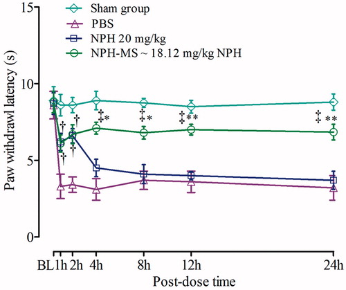 Figure 11. Effect of NPH-MS (p.o) on the PWL as tested by plantar test (n = 5 rats per group). *p < .05, **p < .01 compared with NPH treated rats, †p < .01, ‡p < .001 compared with the control group.