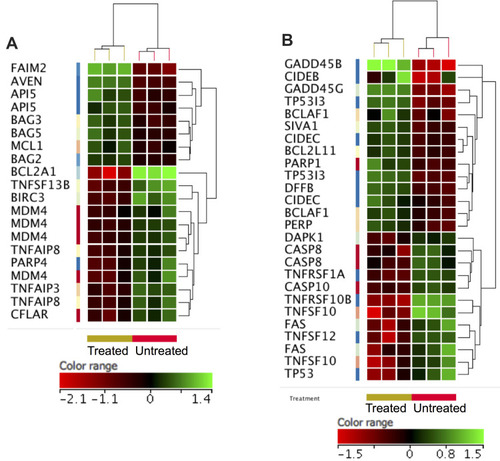 Figure 9 ZnO NPs induced changes in the expression of apoptotic genes in K562 cells. Hierarchical cluster analysis and heatmap presentation showed altered expression of anti-apoptotic genes (A) and pro-apoptotic genes (B) in the ZnO NPs-treated K562 cells compared with the untreated K562 cells. All differentially expressed genes were found with fold change ≥1.5, p≤0.05 and corrected p≤0.1. The color range represents the normalized signal value of probes (log2 transformation and 75 percentile shift normalization).