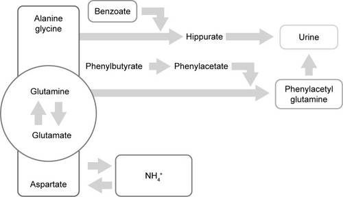 Figure 1 Alternative route of ammonia removal by phenylacetate/phenylbutyrate action on glutamine.