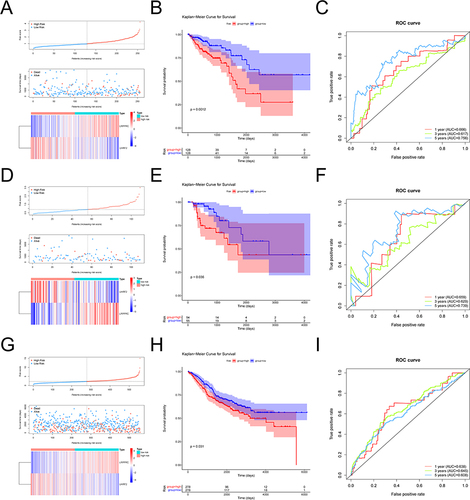 Figure 3 Evaluation and validation of prognostic models. (A) Risk curve, scatter plot and model gene expression heat map of high and low risk groups in training cohort. (B) Kaplan-Meier survival curves for high and low risk groups in training cohort. Red represents the high risk group and blue represents the low risk group. (C) ROC curves for high and low risk groups at 1 year, 3 years, 5 years in training cohort. (D) Risk curve, scatter plot and model gene expression heat map of high and low risk groups in internal validation cohort. (E) Kaplan-Meier survival curves for high and low risk groups in internal validation cohort. Red represents the high risk group and blue represents the low risk group. (F) ROC curves for high and low risk groups at 1 year, 3 years, 5 years in internal validation cohort. (G) Risk curve, scatter plot and model gene expression heat map of high and low risk groups in external validation cohort. (H) Kaplan-Meier survival curves for high and low risk groups in external validation cohort. Red represents the high risk group and blue represents the low risk group. (I) ROC curves for high and low risk groups at 1 year, 3 years, 5 years in external validation cohort.