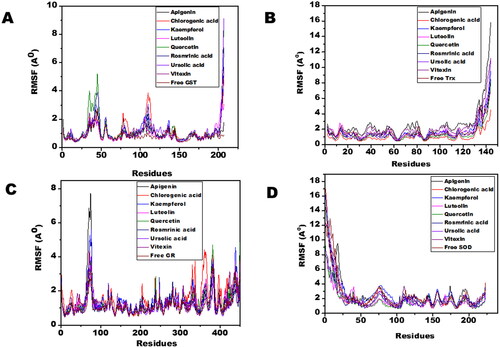 Figure 6. The RMSF of filarial antioxidant proteins/enzymes with OS bioactive compounds as a function of time (50 ns). (A) RMSF analysis of amino acid residues of complexed and free GST. (B) RMSF analysis of amino acid residues of complexed and free Trx. (C) RMSF analysis of amino acid residues of complexed and free GR. (D) RMSF analysis of amino acid residues of complexed and free SOD.