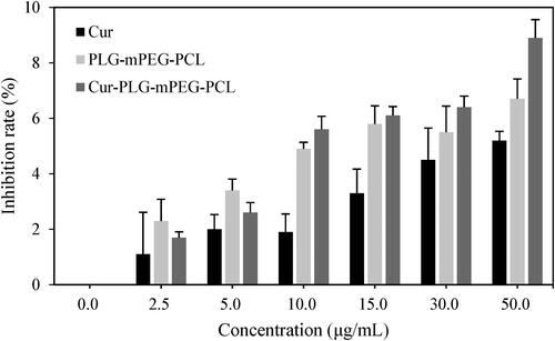 Figure 6. Cytotoxicity analysis of free Cur, PLG-mPEG-PCL, and Cur-PLG-mPEG-PCL. (Cur meant free Cur).