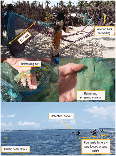 Figure 3. Example of a medium-size Chicocota net (top) and reinforcing done for use over reefs (center). Example of male Chicocota fishing activity over a fringing reef (bottom).