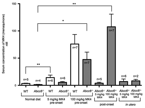 Figure 7 HPLC-MS analysis of serum levels of vitamin MK4 from mice fed diets enriched with 5 or 100 mg/kg of vitamin MK4. There was a significant increase in the levels of circulating MK4 in WT mice fed with a diet enriched with either a 5 mg/kg or 100 mg/mg of MK4. Additionally, we measured significant increases in circulating MK4 in Abcc6-/- mice fed with 100 mg/kg of MK4 in both pre- and post-onset groups. There was no significant increase in serum levels of MK4 in Abcc6-/- mice fed with the 5 mg/kg MK4 diet in either the pre- or post onset groups or in either of the in utero groups.