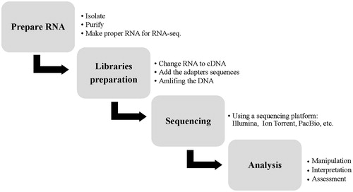 Figure 2. Summary of the RNA-Sequencing (RNA-Seq.) steps workflow. The first step, for purifying and isolating cellular RNAs, cell are disturbed by chaotropic agents and detergents. After homogenization, total RNA can be isolated from cell debris and RNA subsets molecules are separated by specific protocols. After achieving suitable RNA, the RNA should be changed to double-stranded complementary DNA (cDNA).Next, the adaptors addition and DNA amplifying occur. The cDNAs are sequenced by sequencing platforms, i.e. Life’s 454 and SOIiD. Finally, short reads sequences are analyzed.