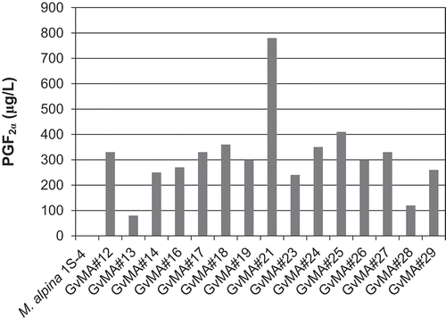 Figure 3. Evaluation of in vitro COX activity in the transformants.Resting cells were used to convert 30.45 mg/L of ARA to PGF2α as described in Materials and Methods.