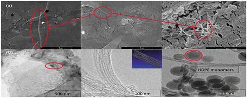 Figure 3. (a) SEM images of HDPE/MWCNT hybrid composite with 5% MWCNT ratio nanocomposite and (b) TEM of the same composite.