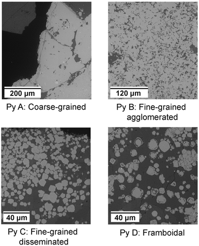 Figure 2. Pyrite (py) texture classes evaluated in this study.
