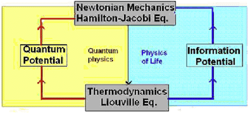 Figure 1. Classical physics, quantum physics, and physics of life.