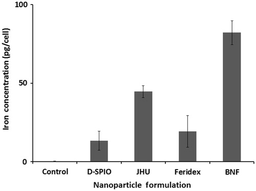 Figure 5. Analysis of DU-145 cell-NP loaded iron concentration using ICP-MS. Aliquots ranged from 5 × 105 to 1.1 × 106 cells. Absolute iron concentration was calculated based on known cell number (pg Fe/cell).