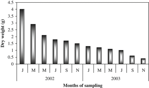 Figure 5. Leaf litter dry weight (g).